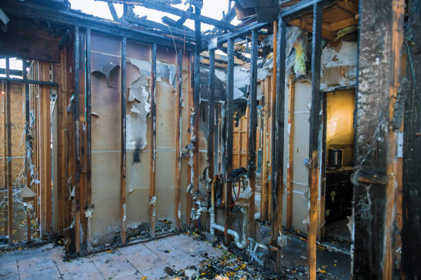 Professional Soot Cleanup technician working in Upper Black Eddy, PA