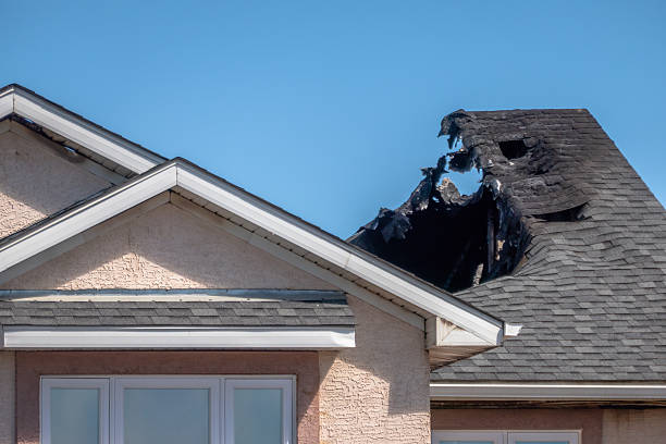 Top rated local Soot Cleanup specialists in Upper Black Eddy, PA